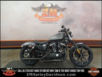 2016 Harley-Davidson Sportster