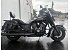 2016 Indian Chief Dark Horse