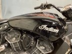 Thumbnail Photo 5 for 2016 Indian Scout Sixty