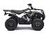 2016 Kawasaki Brute Force 300