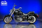 Thumbnail Photo 3 for 2016 Triumph America