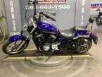 Thumbnail Photo 1 for 2016 Yamaha Stryker