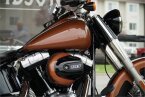 Thumbnail Photo 1 for 2017 Harley-Davidson Softail Slim