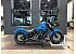 2017 Harley-Davidson Softail