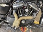 Thumbnail Photo 4 for 2017 Harley-Davidson Sportster Iron 883