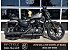 2017 Harley-Davidson Sportster Iron 883