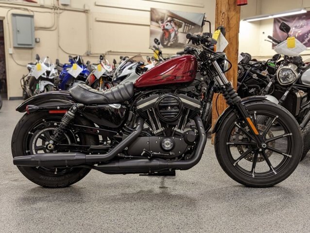 2017 Harley Davidson Sportster Motorcycles for Sale Motorcycles on Autotrader