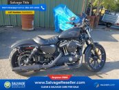 New 2017 Harley-Davidson Sportster Iron 883