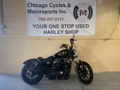 2017 Harley-Davidson Sportster Iron 883