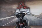 Thumbnail Photo 2 for 2017 Harley-Davidson Touring Street Glide