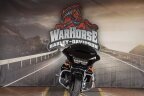 Thumbnail Photo 6 for 2017 Harley-Davidson Touring Road Glide