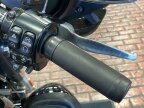 Thumbnail Photo 2 for 2017 Harley-Davidson Trike