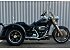2017 Harley-Davidson Trike