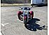 2017 Harley-Davidson Trike Freewheeler