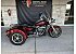 2017 Harley-Davidson Trike Freewheeler