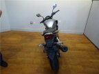 Thumbnail Photo 4 for 2017 Honda CB300F ABS
