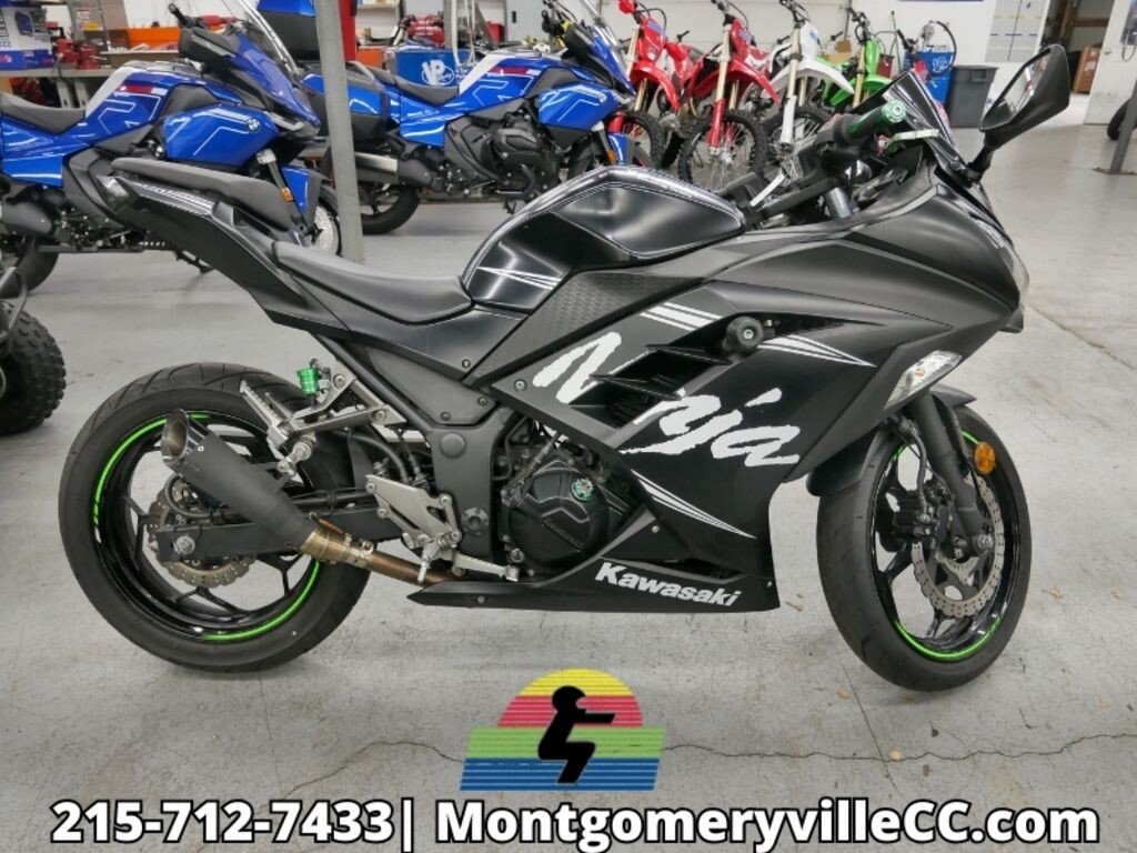 2017 Kawasaki Ninja 300 ABS