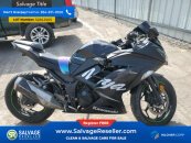 2017 Kawasaki Ninja 300 ABS