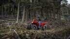 Thumbnail Photo 2 for 2017 Polaris Sportsman 570 EPS