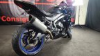 Thumbnail Photo 2 for 2017 Suzuki GSX-R1000R