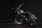 Thumbnail Photo 6 for 2017 Yamaha SCR950