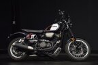 Thumbnail Photo 3 for 2017 Yamaha SCR950
