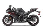 Thumbnail Photo 1 for 2017 Yamaha YZF-R3 ABS