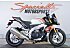 2018 Aprilia Tuono V4 1100 RR