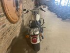 Thumbnail Photo 4 for 2018 Harley-Davidson Softail Low Rider