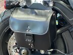 Thumbnail Photo 5 for 2018 Harley-Davidson Softail
