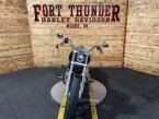 Thumbnail Photo 3 for 2018 Harley-Davidson Softail Low Rider