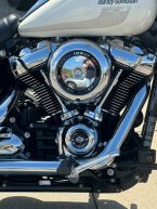 Thumbnail Photo 1 for 2018 Harley-Davidson Softail Low Rider