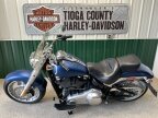 Thumbnail Photo 4 for 2018 Harley-Davidson Softail 115th Anniversary Fat Boy Denim 114