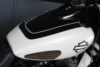 Thumbnail Photo 5 for 2018 Harley-Davidson Softail Fat Bob