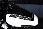 Thumbnail Photo 4 for 2018 Harley-Davidson Softail Fat Bob