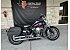 2018 Harley-Davidson Softail Low Rider