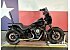 2018 Harley-Davidson Softail