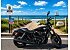 2018 Harley-Davidson Street 500