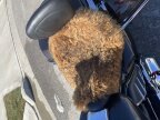 Thumbnail Photo 4 for 2018 Harley-Davidson Touring Road Glide for Sale by Owner