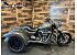 2018 Harley-Davidson Trike Freewheeler
