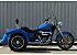 2018 Harley-Davidson Trike