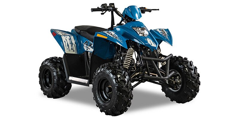 2018 Hisun Axis 110 110 specifications