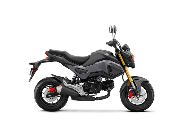 2018 Honda Grom ABS Specifications, Photos, and Model Info