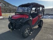 2018 Honda Pioneer 1000 Deluxe