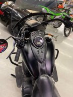 Thumbnail Photo 5 for 2018 Indian Springfield Dark Horse