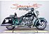 2018 Indian Springfield