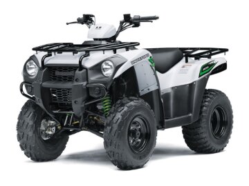 2018 Kawasaki Brute Force 300