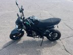 Thumbnail Photo 1 for 2018 Kawasaki Z125 Pro