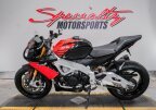 Thumbnail Photo 5 for 2019 Aprilia Tuono V4 1100 RR