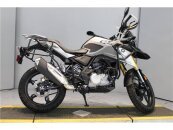 2019 BMW G310GS